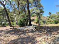 Saint Bauzille de Montmel - Terrain à bâtir — photo 2