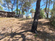Saint Bauzille de Montmel - Terrain à bâtir — photo 3