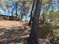 Saint Bauzille de Montmel - Terrain à bâtir — photo 4