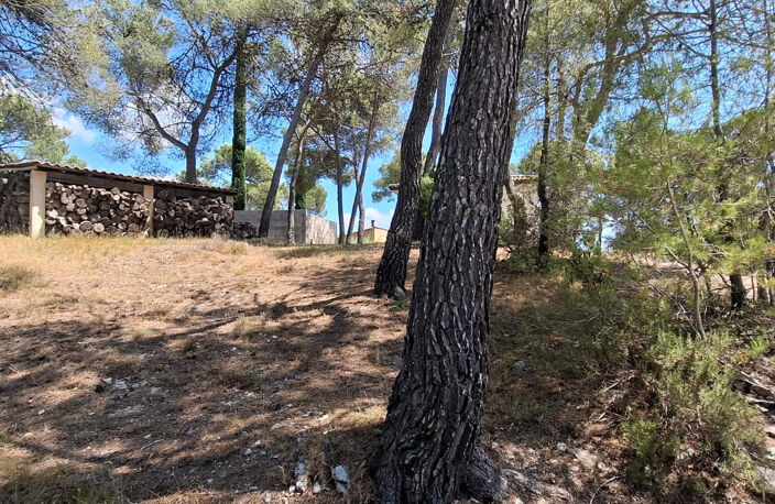 Saint Bauzille de Montmel - Terrain à bâtir — photo 4