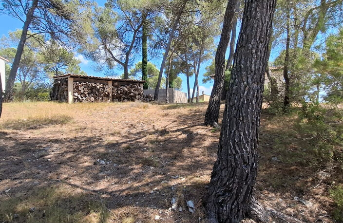 Saint Bauzille de Montmel - Terrain à bâtir — photo 5