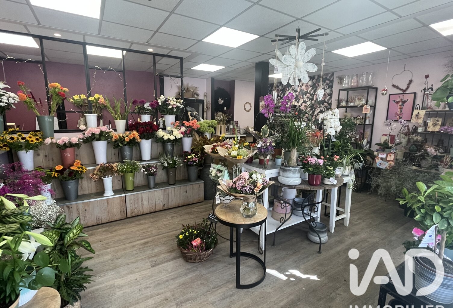 Vente Cadeaux, Fleurs 51 m&sup2; — photo 1