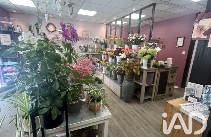 Vente Cadeaux, Fleurs 51 m&sup2; — photo 3