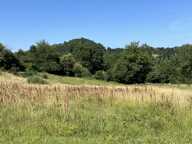 Vente Terrain 19 880 m&sup2; — photo 2