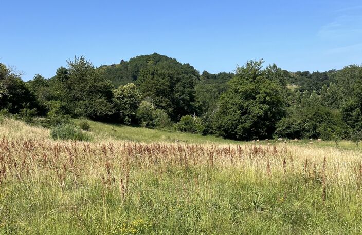 Vente Terrain 19 880 m&sup2; — photo 2