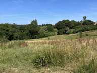Vente Terrain 19 880 m&sup2; — photo 3