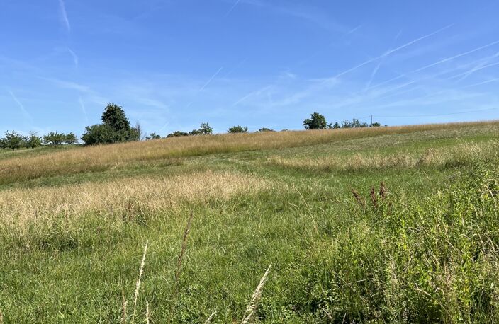 Vente Terrain 19 880 m&sup2; — photo 4