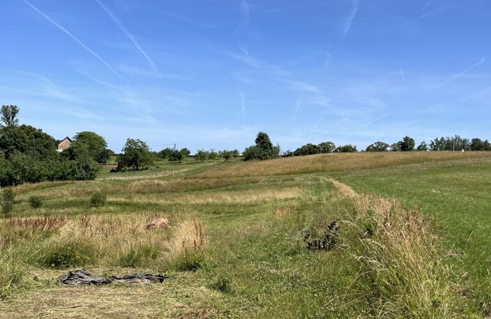 Vente Terrain 19 880 m&sup2; — photo 5