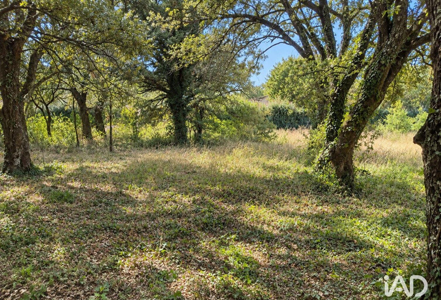 Vente Terrain 1 589 m&sup2; — photo 1