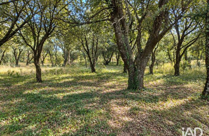 Vente Terrain 1 589 m&sup2; — photo 2