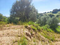 CHARMANTE VILLA NEUVE - SARROLA-CARCOPINO — photo 2