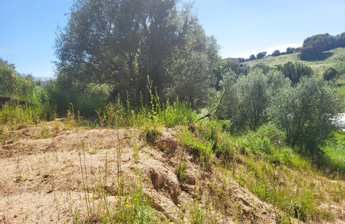 CHARMANTE VILLA NEUVE - SARROLA-CARCOPINO — photo 2