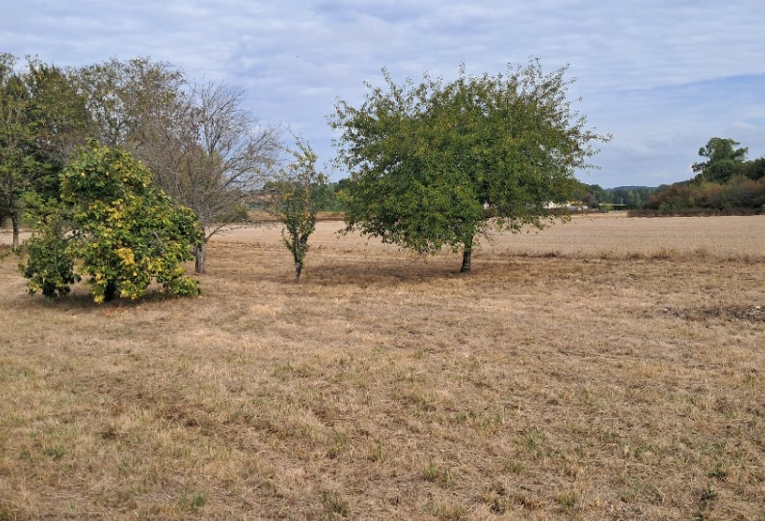 Terrain à bâtir à Montlieu-la-Garde (17210) — photo 1