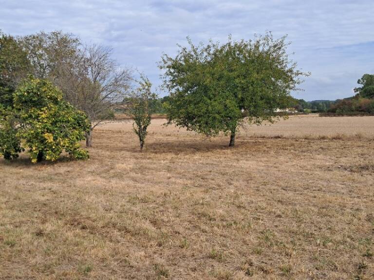 Terrain à bâtir à Montlieu-la-Garde (17210) — photo 1