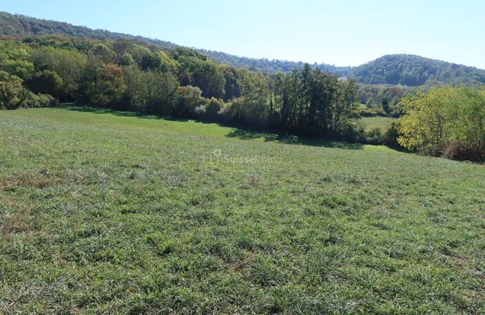 terrain contrutible et viabilisé en impasse — photo 3