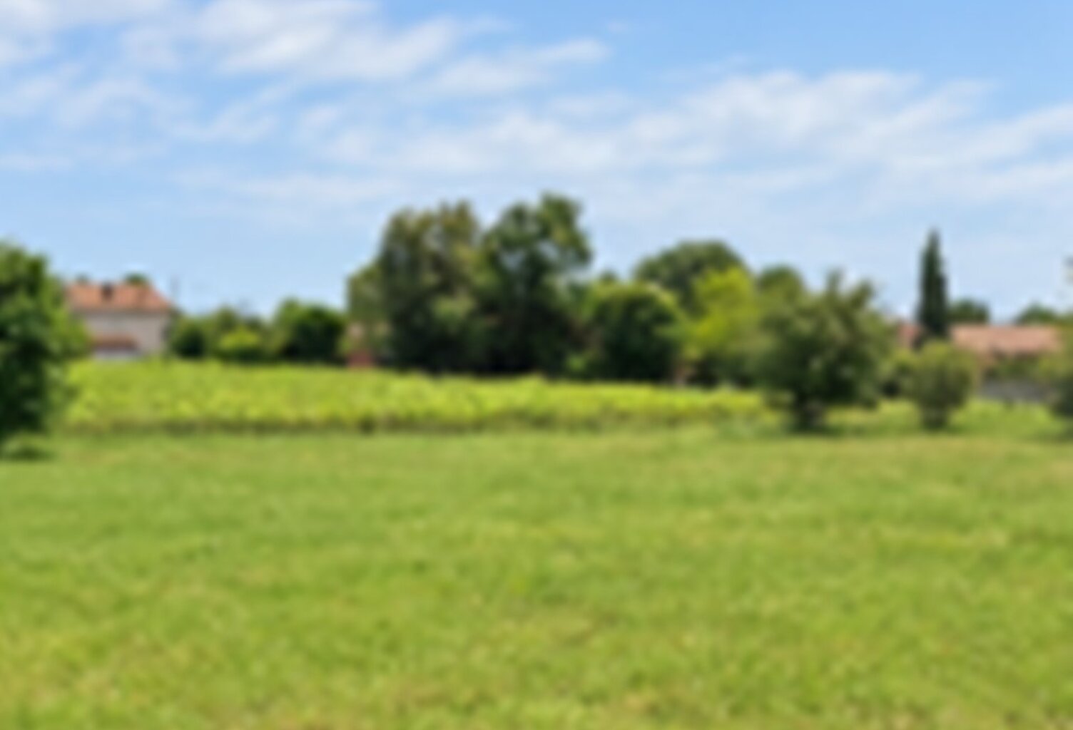 Terrain à bâtir à Prignac-et-Marcamps (33710) — photo 1