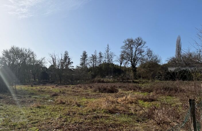 Maison à construire à Noaillan (33730) — photo 4