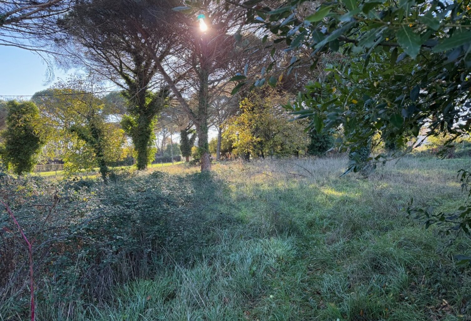 Terrain à bâtir à Langon (33210) — photo 1