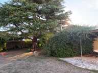 SAINT MICHEL EN L'HERM (85) 10 MIN DES PLAGES AGREABLE DEMEURE EN PIERRE 4 CHAMBRES AVEC SPA ET JARDIN — photo 2