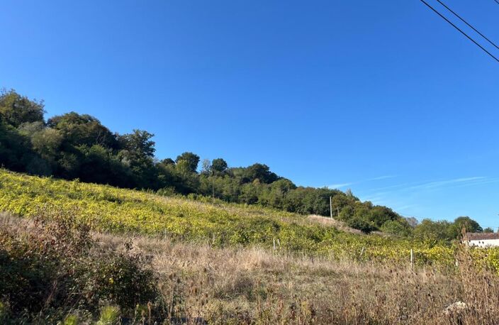 Maison en pierre 309 m² SAINT JEAN DE BLAIGNAC (33) — photo 2
