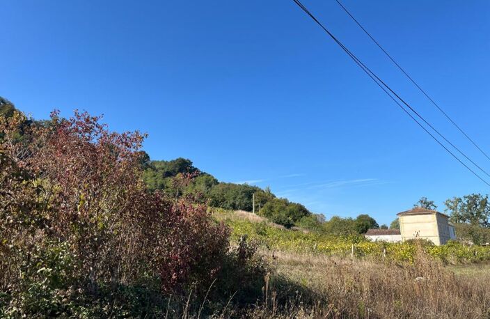 Maison en pierre 309 m² SAINT JEAN DE BLAIGNAC (33) — photo 3