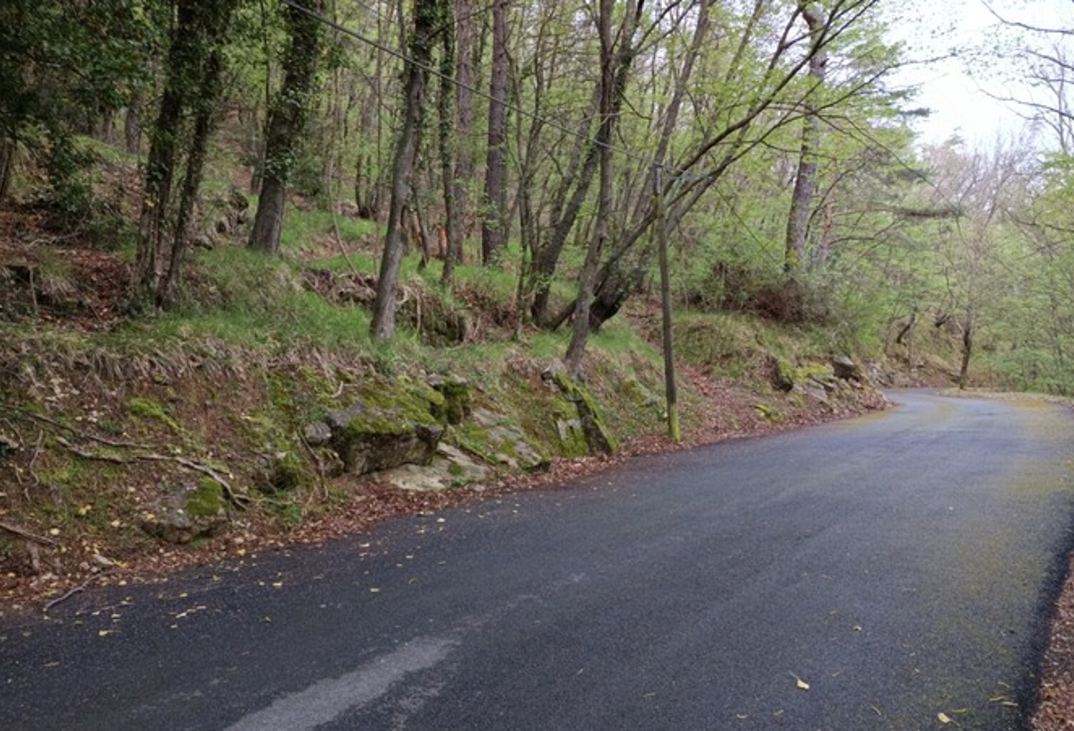 Terrain à vendre de 16 225,00 m² PEILLE (06) — photo 1