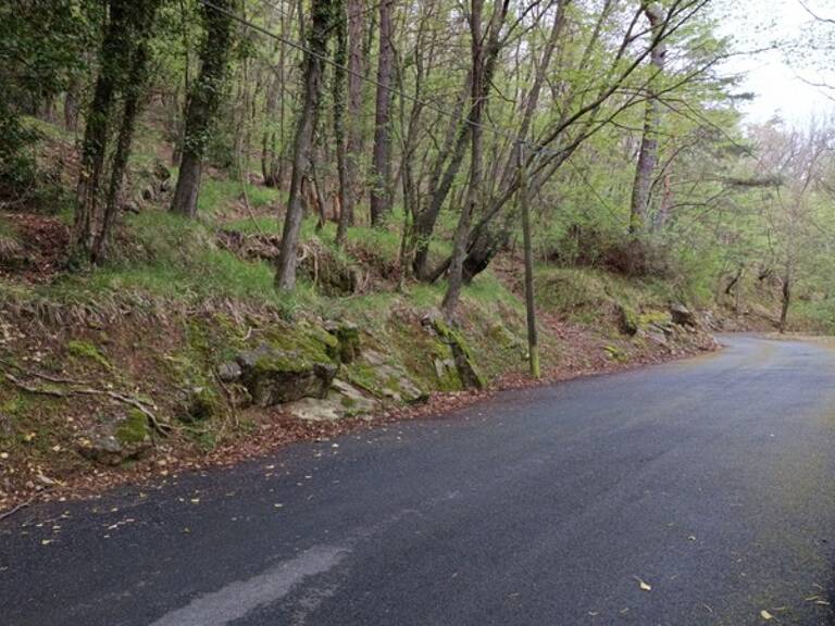 Terrain à vendre de 16 225,00 m² PEILLE (06) — photo 1