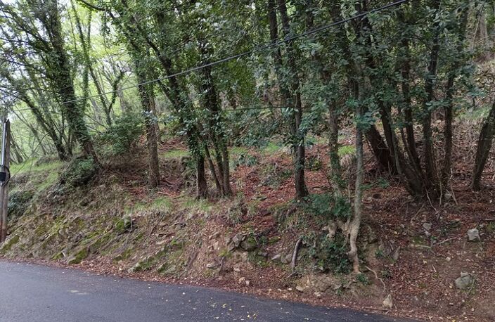 Terrain à vendre de 16 225,00 m² PEILLE (06) — photo 2