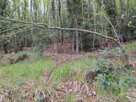 Terrain à vendre de 16 225,00 m² PEILLE (06) — photo 3