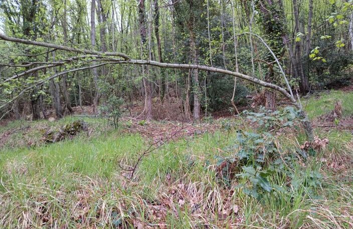 Terrain à vendre de 16 225,00 m² PEILLE (06) — photo 3