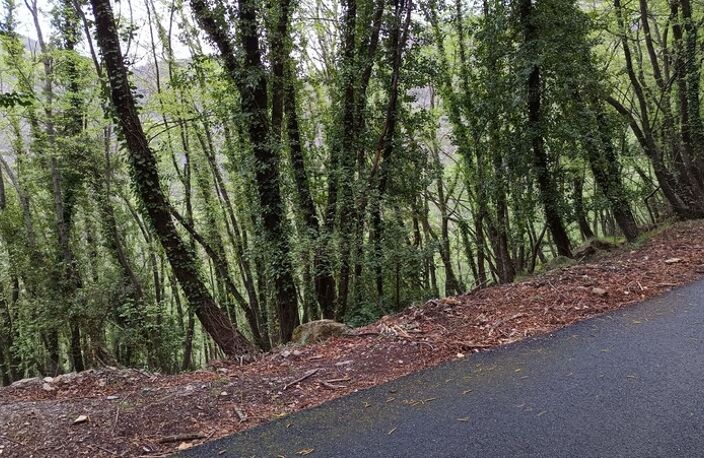 Terrain à vendre de 16 225,00 m² PEILLE (06) — photo 5