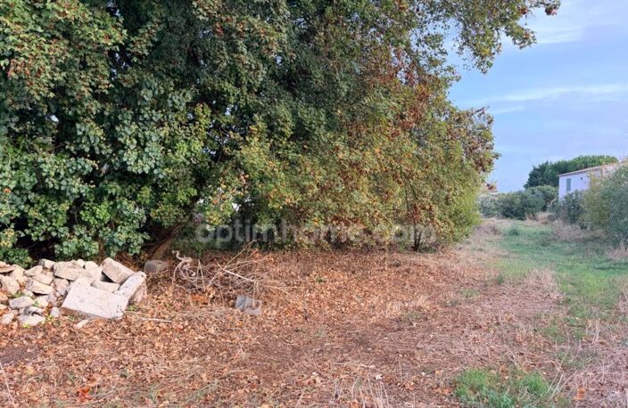 Terrain à vendre  LE BOIS PLAGE EN RE (17) — photo 2
