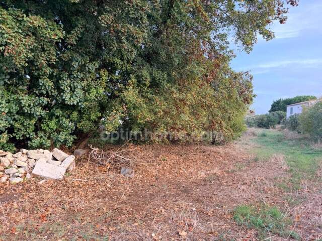 Terrain à vendre  LE BOIS PLAGE EN RE (17) — photo du bien