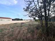 Terrain à vendre  LE BOIS PLAGE EN RE (17) — photo 3