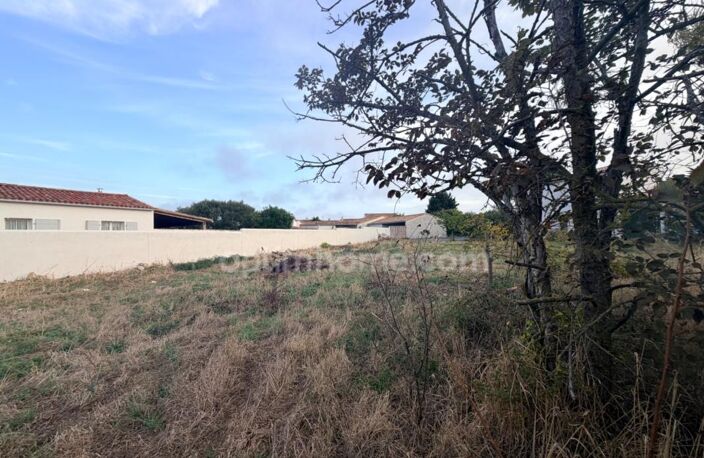 Terrain à vendre  LE BOIS PLAGE EN RE (17) — photo 3