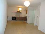 Appartement de 55m2 à louer sur Lyon 08 — photo 2