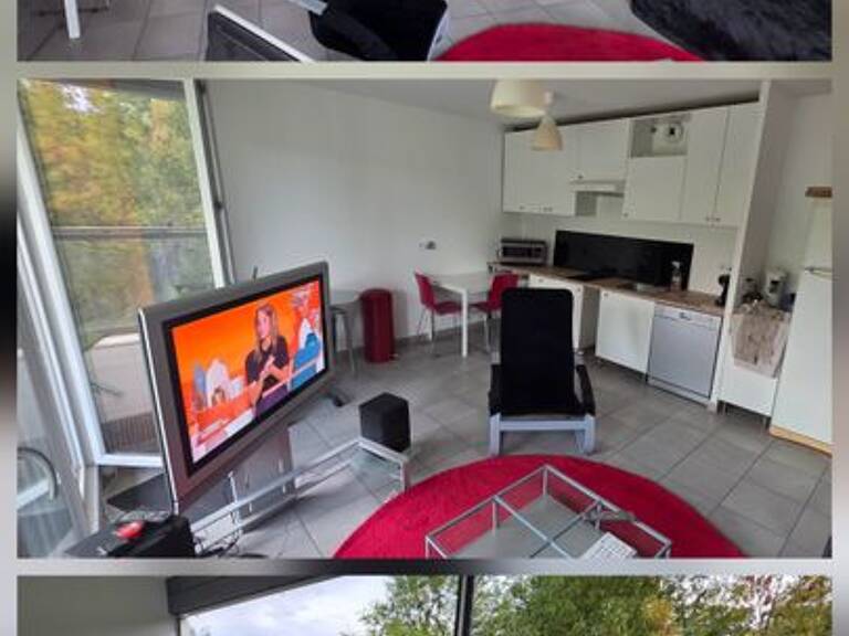 Appartement de 45m2 à louer sur Albigny-sur-Saône — photo 1