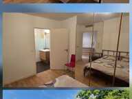 Appartement de 45m2 à louer sur Albigny-sur-Saône — photo 2