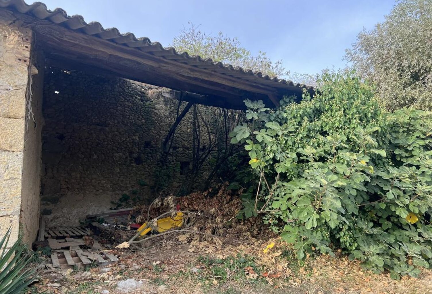 Grange en pierre 120 m2 AUCH 15 minutes — photo 1