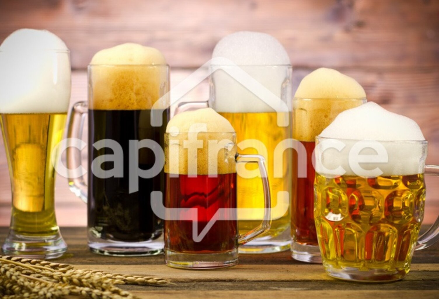 Fonds de commerce à vendre BEYNOST (01) — photo 1