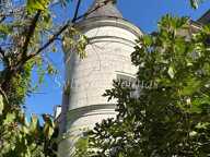 Propriete à vendre 10 pièces SAINT AVERTIN (37) — photo 4