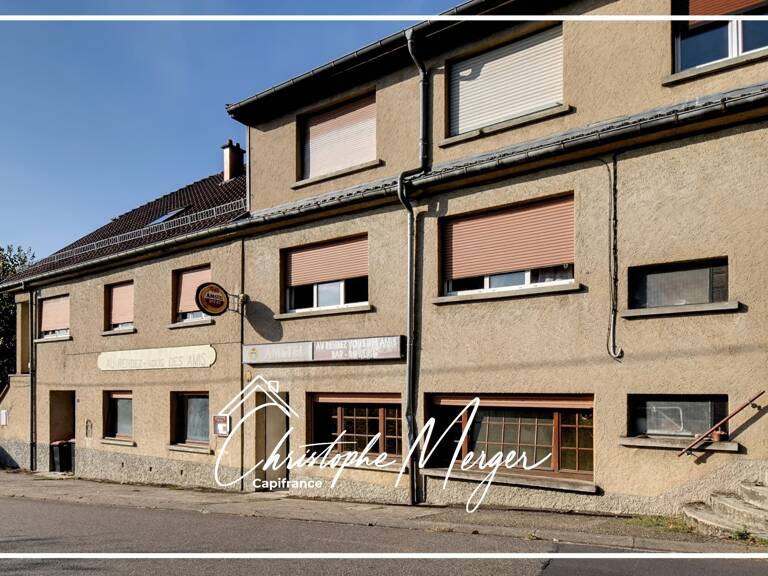 Ensemble immobilier à vendre DOLVING (57), proche de Sarrebourg, un projet d'investissement — photo 1