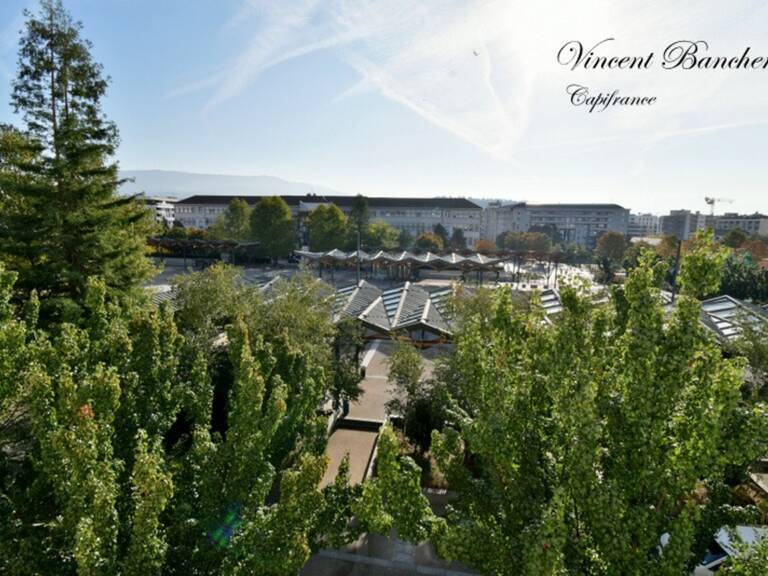 ANNEMASSE CENTRE – T2 À RÉNOVER AVEC CHAMBRE DE BONNE ET DEUX CAVES — photo 1