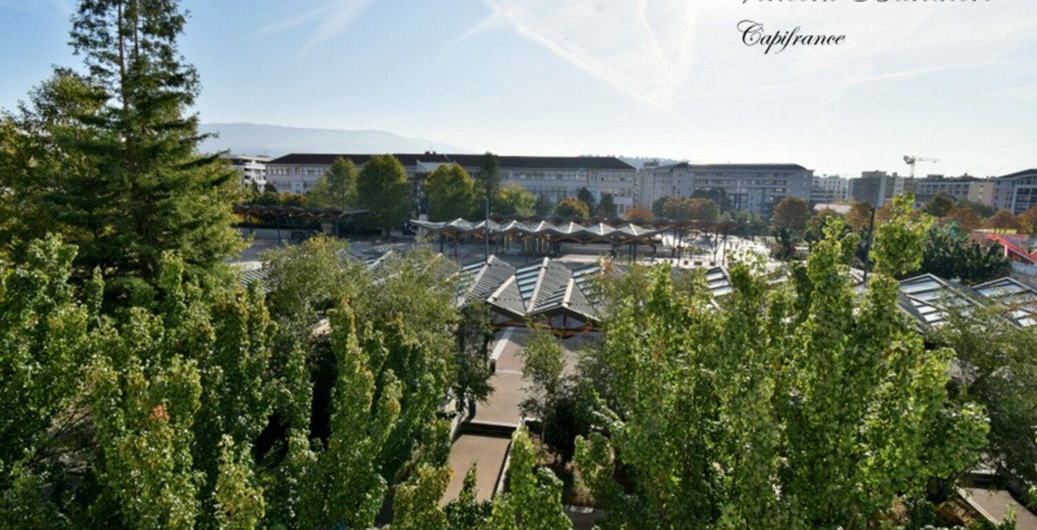 ANNEMASSE CENTRE – T2 À RÉNOVER AVEC CHAMBRE DE BONNE ET DEUX CAVES — photo 1