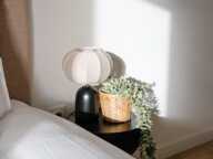 Chambre colocation Toulouse — photo 3