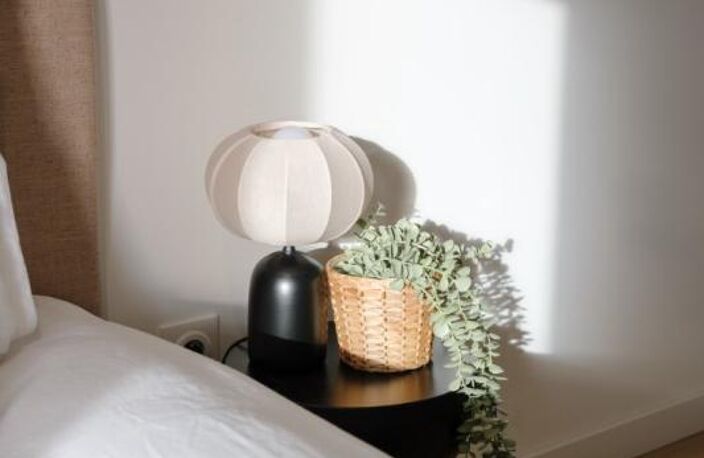 Chambre colocation Toulouse — photo 3