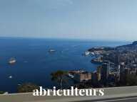 Appartement à vendre avec balcon privatif – Roquebrune-Cap-Martin (06190) — photo 2