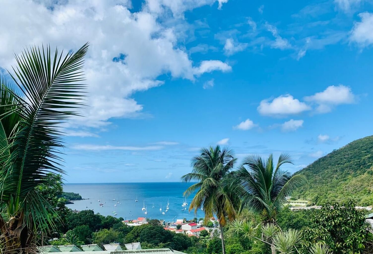 Ensemble Immobilier de 2 Studios Équipés – Vue Mer à Deshaies — photo 1