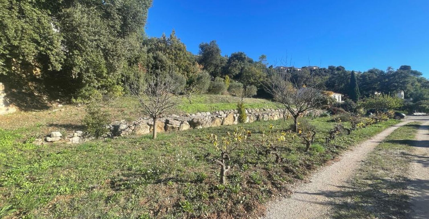 Terrain À Vendre — photo 1