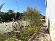 Propriété familiale — photo 3